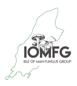 IOM Fungus Group